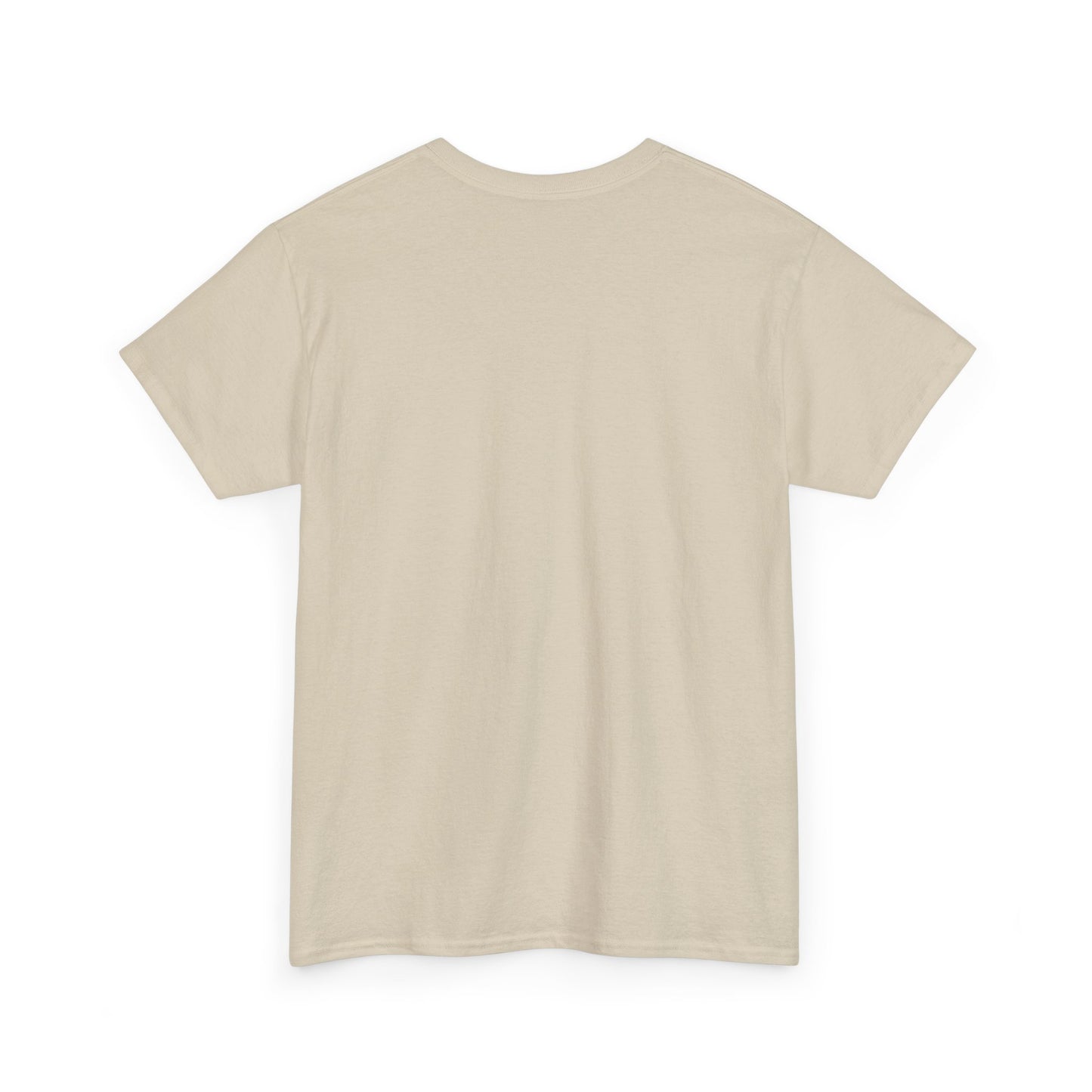 Be The Woman You Needed As A Girl | Empowering Woman's T-shirt